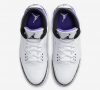 Air Jordan 3 "Dark Iris"