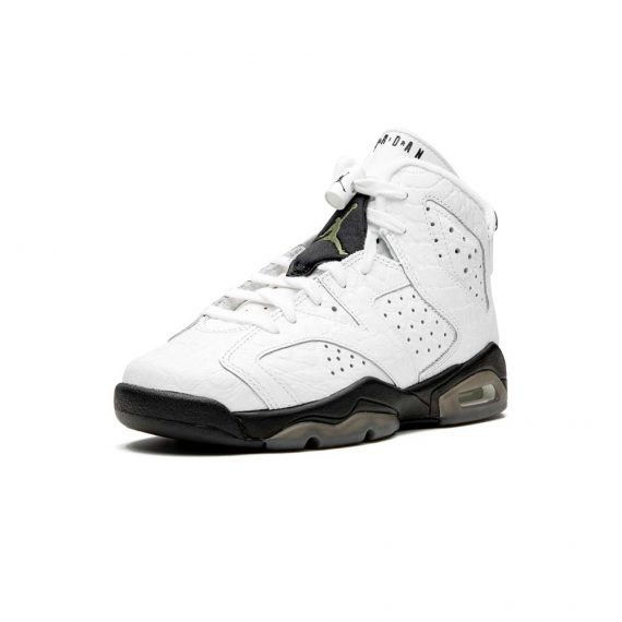 Youth Jordan Air Jordan 6 Retro (GS) "Alligator"