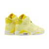 Jordan Air Jordan 6 GS "Floral"