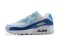 Air Max 90 FP Aura Sapphire