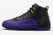 Air Jordan 12 Field Purple Black