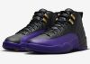 Air Jordan 12 Field Purple Black