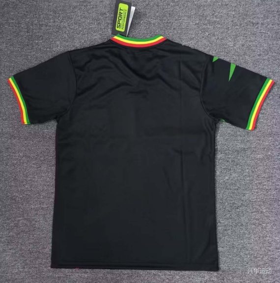 2024 Mali Africa Cup Third Away Football Shirt