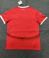 2024 Austria National Team Home Football Shirt