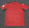 2023/2024 Wolverhampton Wanderers Away Football Shirt