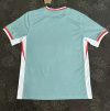 24/25 Atletico Madrid Away Man Jersey
