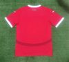 2024 Austria National Team Home Football Shirt