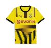 24/25 Borussia Dortmund Cup Special Edition Jersey
