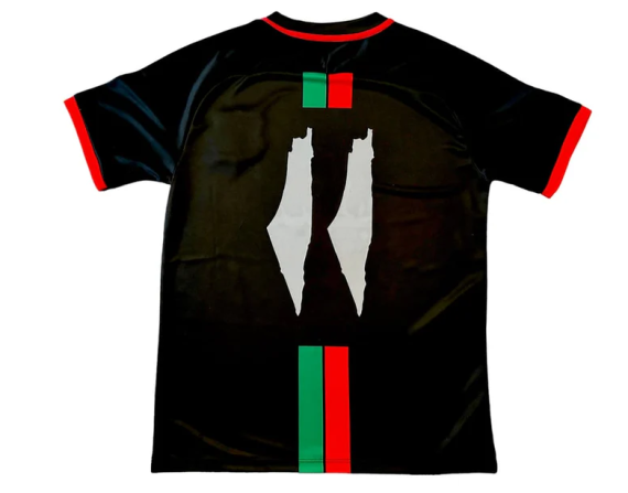 2024/2025 Palestine Home Football Shirt