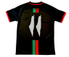 2024/2025 Palestine Home English Football Shirt