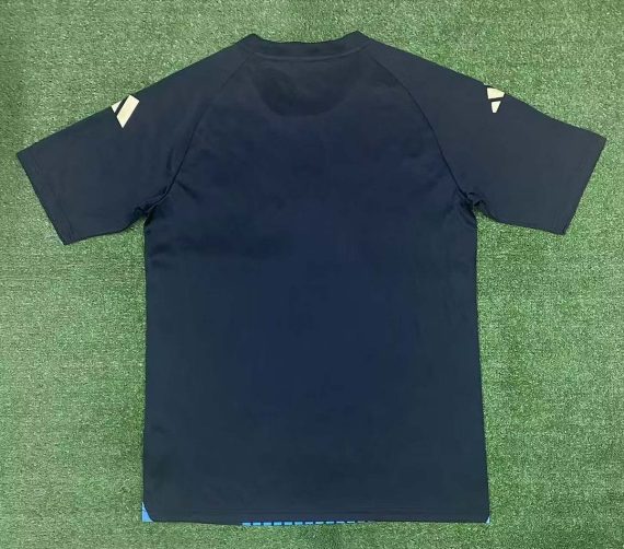 2024 Argentina National Team Training Wear Football Shirt