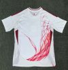 2024 Japan Away Football Shirt