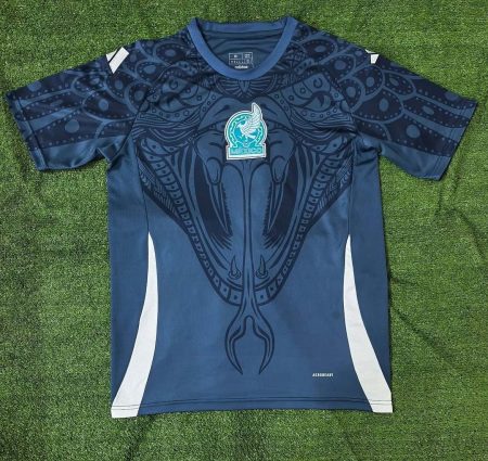 2024 Mexico National Training Wear Football Shirt