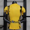 24/25 Player Version Inter Milan Third Away Football Jersey Have sponsors