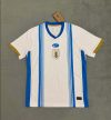 2024 Uruguay Team Training Wear Football Shirt