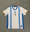 2024 Uruguay Team Training Wear Football Shirt