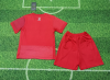 24/25 Poland Away Football Shirt Kids Size Suit