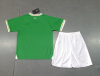 23/24 Ireland Home Football Shirt Kids Size Suit