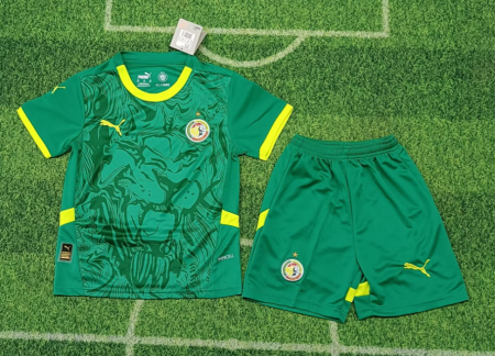 24/25 Senegal Away Football Shirt Kids Size Suit