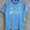 24/25 Nottingham Forest Third Football Shirt