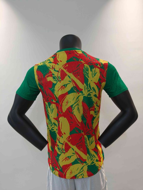 24/25 Senegal Special Edition Football Shirt