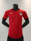 24/25 Player Version Egypt Home Football Shirt