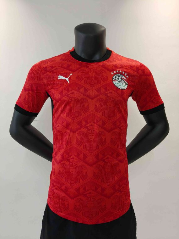 24/25 Player Version Egypt Home Football Shirt
