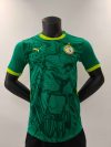 24/25 Player Version Senegal Away Football Shirt