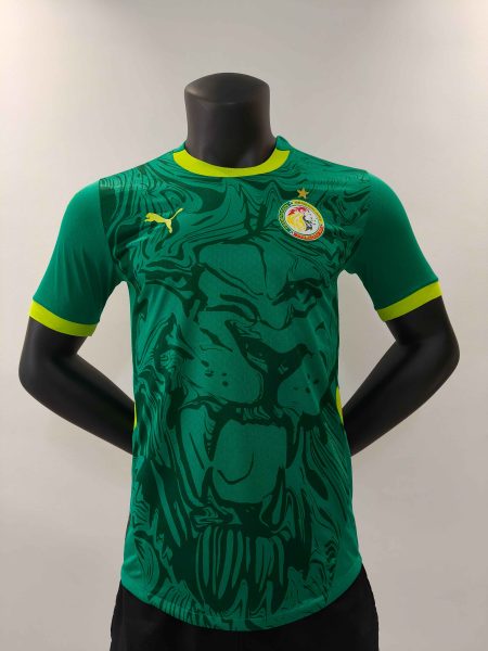 24/25 Player Version Senegal Away Football Shirt