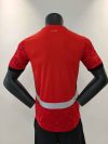 24/25 Player Version Egypt Home Football Shirt