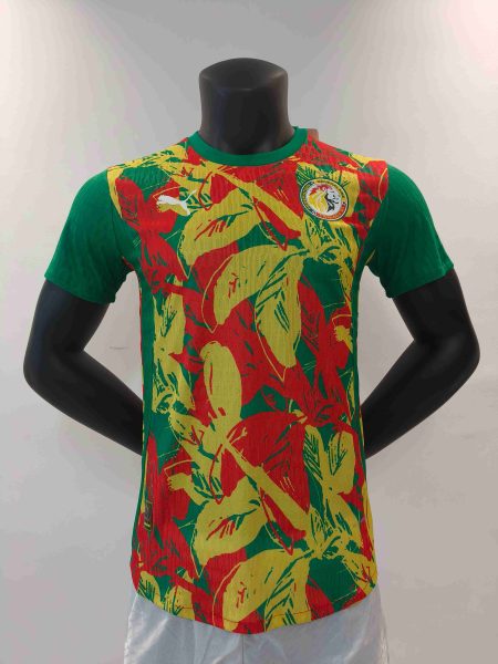 24/25 Senegal Special Edition Football Shirt