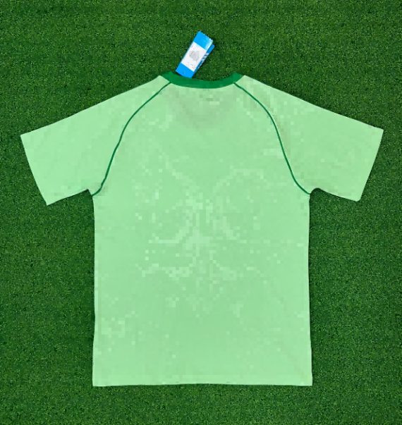 25/26 Celtic Special Edition Football Shirt