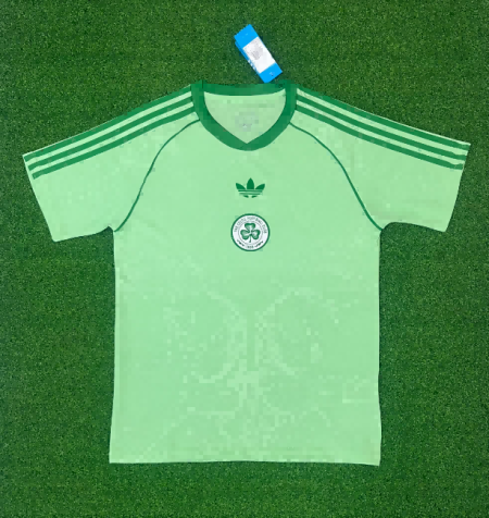 25/26 Celtic Green Special Edition Football Shirt