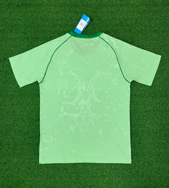 25/26 Celtic Green Special Edition Football Shirt