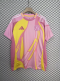 25/26 Scotland National Team Away Football Shirt